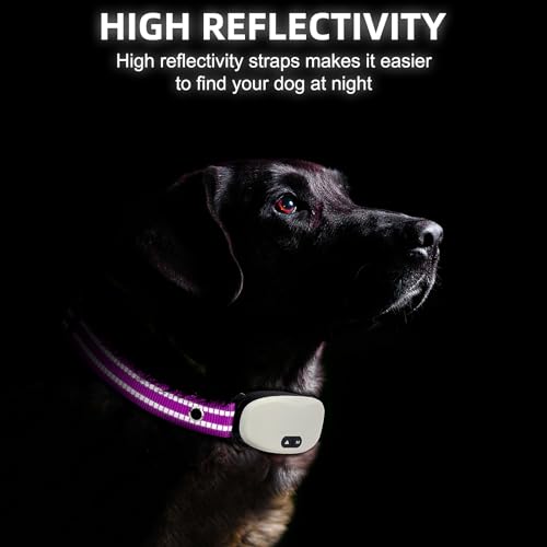 Collar Replacement Strap, Reflective Replacement Nylon Collar Strap Dog GPS Training Bark Receiver Collars, Durable Adjustable E Collar Straps for Small Medium Large Dogs, Purple - color: Purple