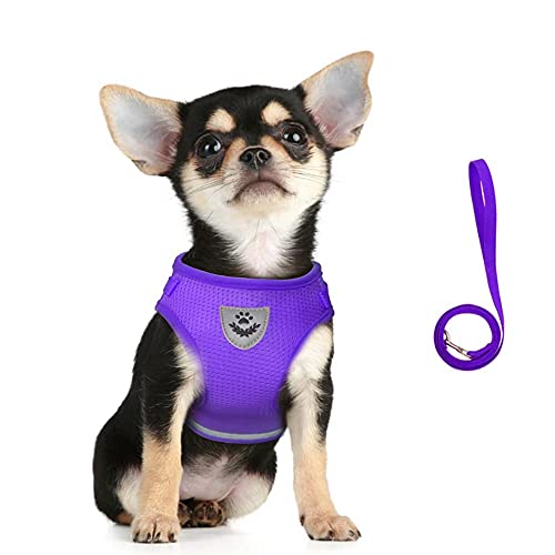 Dog Harness and Leash Set for Walking, Soft Mesh Adjustable Easy Control Lightweight Cat Vest Harnesses with Reflective Strips, Escape Proof Small Dogs Cats Vests - color: Purple, size: Small