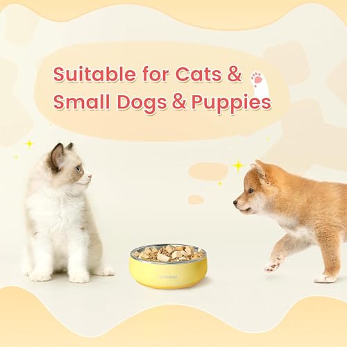 Pawaii Small Dog Bowls, 12 oz. Food Water Bowl Designed for Puppies and Cats with Non-Slip Rubber Base, Upgraded Metal Insulated, Double Stainless Steel Bowls, Cheese Yellow - color: Cheese Yellow, size: 12oz