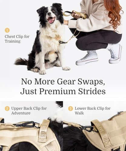 2026 New Edition, Fei & Eve MagEase Dog Harness - Instant Magnetic Buckle | 3-Point No-Pull Control | Heavy-Duty 900D Nylon | Dual Safety Handles | Breathable Mesh | Adjustable Fit | Small,Champagne - color: Champagne, size: S
