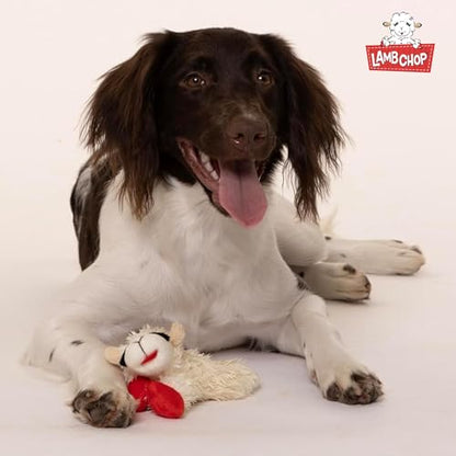 Multipet Lamb Chop Dog Plush Toy - Squeaky Toy for All Dogs - Extra Soft Plush - Stuffed Animal Dog Toy for Cuddling & Playing - Cute Pet Toy (6", Cream) - size: 6", style: White