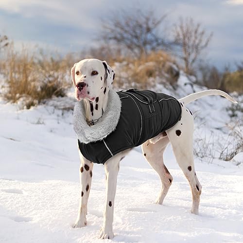 Lelepet Warm Dog Coat Reflective Dog Fleece Vest Waterproof Jacket Windproof Winter Cold Weather Coats with Adjustable Buckle Jackets for Dogs, Black, M - color: Black, size: M