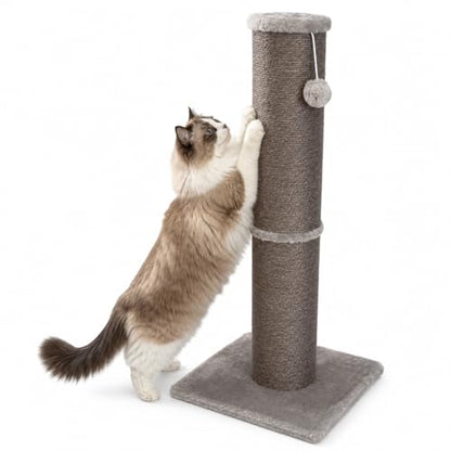 Sisal Cat Scratching Post for Indoor Cats & Kittens, 5.5" Diameter Heavy Duty Vertical Scratcher, 32 Inch Extra Tall Furniture Protector with Stable Base, Grey - color: Cylinder Grey