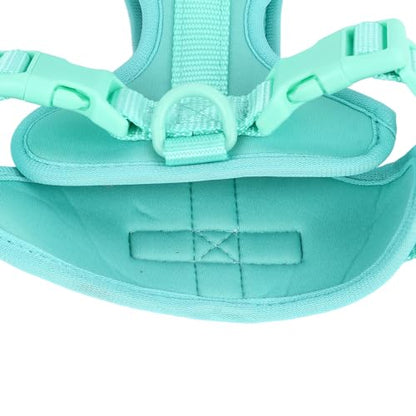 Adjustable Soft Breathable Escape Proof Dog Vest Harness, Pet Chest Harness for Small Dogs and Puppies, Bright Color Safety Design with Dual D Rings for Walking and (S) - color: Green