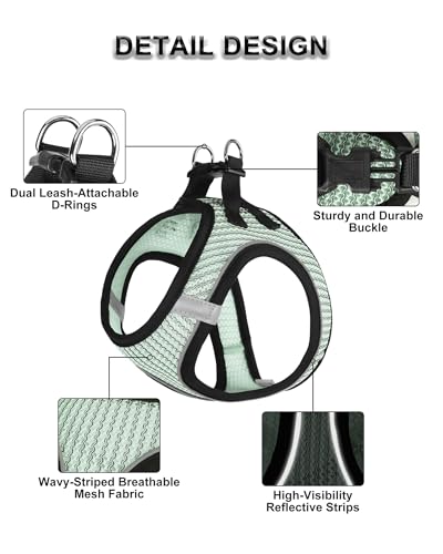 Dog Harness Small Sized and Leash Set, Step in Soft Light Puppy Vest, Breathable Mesh Pet Harness Suitable for Puppies and Kittens. (Light Green, XS(Chest:11.81-14.17")) - color: Light Green, size: XS(Chest:11.81-14.17")