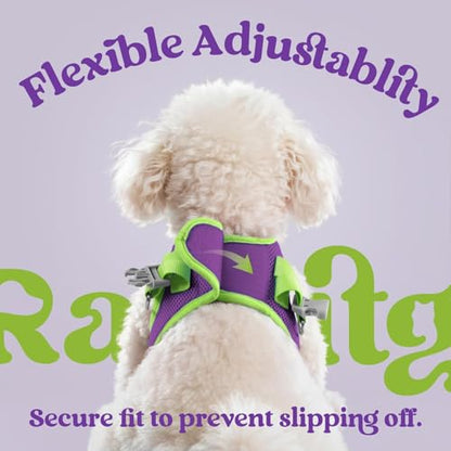 rabbitgoo Dog Harness Small Sized and Leash Set, Step-in Breathable Pet Harness, Soft Walking Reflective Puppy Vest for Small Dogs, Purple & Green, XS - color: Purple & Green, size: XS (Chest: 13.3 - 15.5")