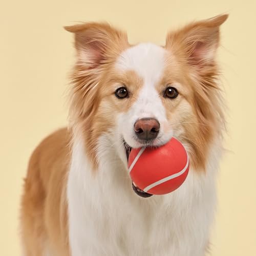 Playology Dog Toys | Squeaky Chew Ball - Bouncy Durable Floating Fetch Ball for Dogs | Jumbo Beef Scented Toy - Easy to Clean and Made from Non Toxic Materials - size: Jumbo, style: Beef