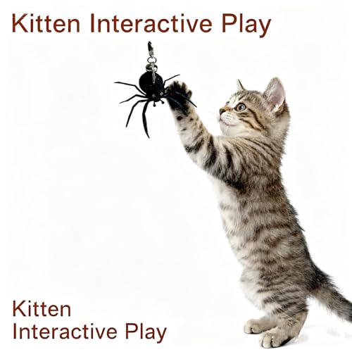 2Pcs Cat Toy Spider Refills – White & Black Heads with Bell/Lobster Claw, Feather Wand Replacement for Kitten Interactive Play