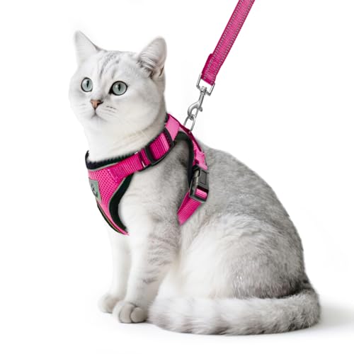PUPTECK Cat Harness and Leash Set Escape Proof Reflective Cat Walking Harness Adjustable Soft Breathable Mesh Vest for Small Pets, Deep Pink, S - color: Deep Pink, size: S (NECK 9.5"-11", CHEST 13"-16")