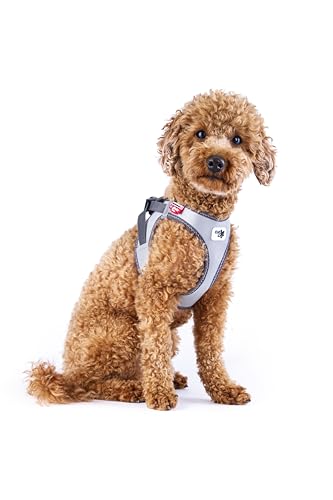 Glow curli Clasp Vest Harness Reflective Gray M