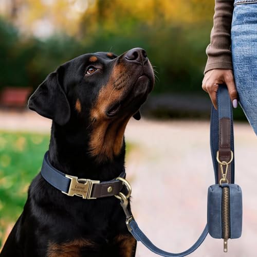 Personalized Dog Collars, Custom PU Leather Dog Collar with Name&Phone Number, Engraved Dog Collar for Large Dogs, Adjustable Durable Collar with Quick Release Metal Buckle, Blue,XL - color: Blue, size: Xl: Neck 20-27", Width 1.2"