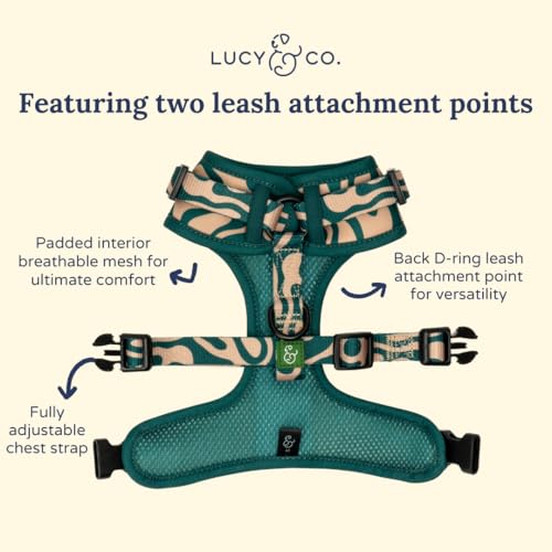Lucy & Co. x Parks Project Geyser No-Pull Dog Harness, Adjustable Front Clip Harness with Comfort Padding, Small - color: Geyser, size: Small