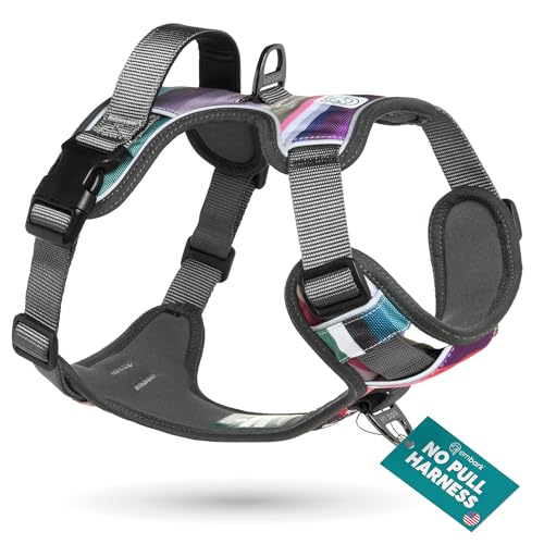 Embark Adventure Dog Harness for Small, Medium & Large Dogs – No Pull, Reflective Trim, Heavy Duty Oxford, 2 Leash Clips, Gel-Lined Handle, Soft Padded - color: Baja, size: XS