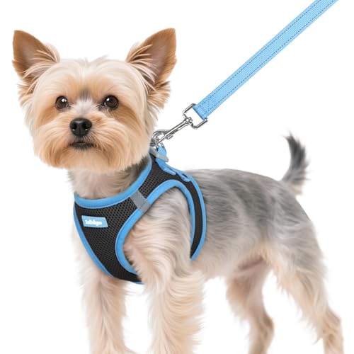 rabbitgoo Dog Harness Small Sized and Leash Set, Step-in Breathable Pet Harness, Soft Walking Reflective Puppy Vest for Small Dogs, Black & Light Blue, XS - color: Black & Light Blue, size: XS (Chest: 13.3 - 15.5")