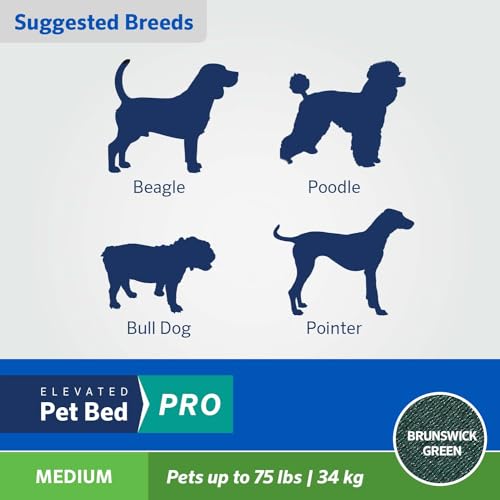 Coolaroo Pro Elevated Dog Bed - Low-Profile Access, Moisture-Resistant Cover, Breathable Fabric & Tool-Free Setup, Brunswick Green, Medium - color: Brunswick Green, size: Medium