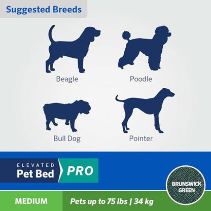 Coolaroo Pro Elevated Dog Bed - Low-Profile Access, Moisture-Resistant Cover, Breathable Fabric & Tool-Free Setup, Brunswick Green, Medium - color: Brunswick Green, size: Medium