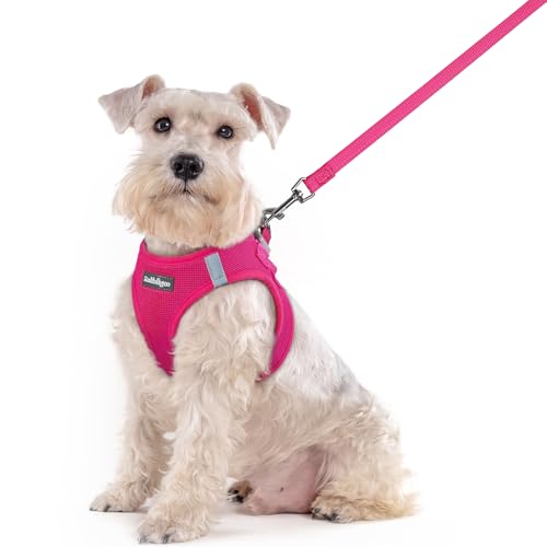 rabbitgoo Dog Harness Medium Sized and Leash Set, Step in Soft Light Puppy Vest, Breathable Mesh Pet Harness, Reflective for Safe Easy Walking, Rosa Red XXL - color: Rose Red, size: Xxl (chest: 21.6 - 23.7")