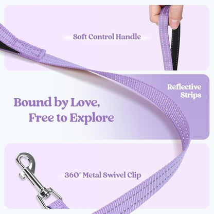 rabbitgoo Dog Harness Medium Sized and Leash Set, Step in Soft Light Puppy Vest, Breathable Mesh Pet Harness, Reflective for Safe Easy Walking, Light Purple XXL - color: Light Purple, size: Xxl (chest: 21.6 - 23.7")