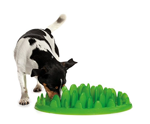 Northmate Green Slow Feeder-Small - size: Mini