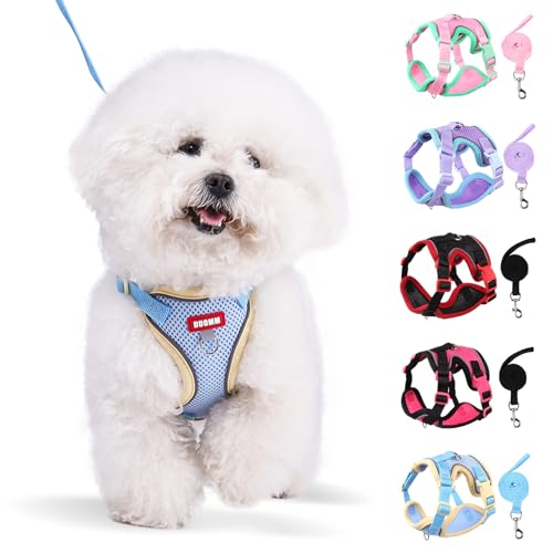 Coppthinktu Dog Harness with Leash Set for Small Sized Dogs Cats, No Pull Dog Harness Soft Mesh Cat Puppy Harness, Adjustable Reflective Step-in Pet Vest Harnesses for Outdoor Walking Training - color: Blue, size: Large