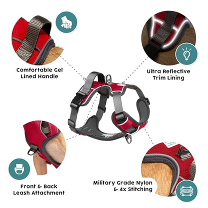 Embark Adventure Small Dog Harness – No-Pull, Reflective Trim, Military-Grade Nylon, Front Clip with Gel-Lined Handle - color: Red, size: S