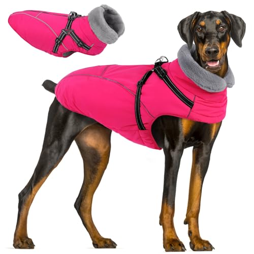 Queenmore Large Dog Jackets,Dog Coats for Extra Large Dogs with Harness Built in,Reflective Waterproof Dogs Jackets with Fleece Lining,Warm Snowsuit Pet Coats for German Shepherd,Rosered,XXXL - color: Rose Red, size: XXX-Large
