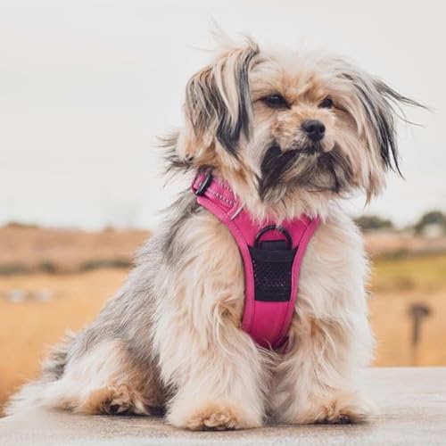 Voyager Dog Harness Dual Leash Attachment No-Pull Control Adjustable Soft but Strong Pet Harness for Medium and Large Dogs with 3M Reflective Technology, Fuchsia Nylon, XS (Chest: 13-16") - color: Fuchsia Nylon, size: XS (Chest: 13 - 16")