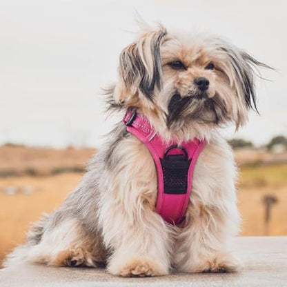 Voyager Dog Harness Dual Leash Attachment No-Pull Control Adjustable Soft but Strong Pet Harness for Medium and Large Dogs with 3M Reflective Technology, Fuchsia Nylon, L (Chest: 25-30") - color: Fuchsia Nylon, size: L (Chest: 25 - 30")