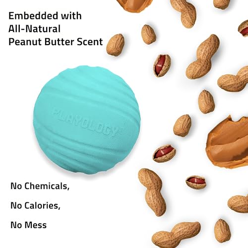 Playology Dog Toys | Dual Layer Ball Durable Chew Toy for Tough Chewers | Peanut Butter Medium Scented Dog Toy | Chew Toys for Dogs - size: Medium, style: Peanut Butter