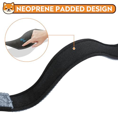 Reflective Dog Collar, Adjustable Soft Neoprene Padded Nylon Pet Collars with Buckle for Puppy and Small Dogs, Cats, Gray,XS - color: Gray, size: X-Small