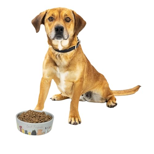 SPOT Best Friends Pet Food Dish - Food or Water Ceramic Bowl for Pets, Ideal for Medium & Large Dogs, Dishwasher Safe, 5 Cups (40oz) Capacity - 7in, Light Grey - size: 7 inch
