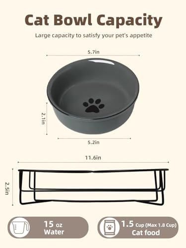 GDCZ Ceramics Raised Cat Bowls with Heighten Metal Stand,15 Ounces (Grey) - color: Grey