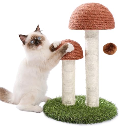 PETEPELA Cat Scratching Post, Mushroom Tall Cat Scratcher Featuring with Natural Sisal Scratching Poles and Interactive Toy Ball for Kittens and Small Cats (Brown) - color: Mushroom Brown, size: 18.9"