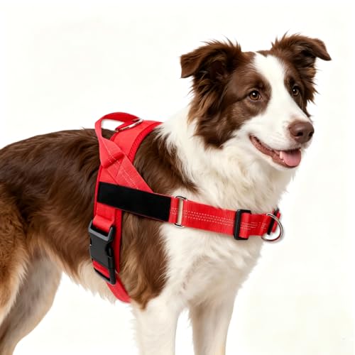 No Pull Dog Harness, Arcolma,Made to Roam Collar Design with Breathable Neoprene Padding, Y-Shaped Anti-Choking, Double D-Ring Traction, High-Reflective Strips for Daily Walking & Outdoor Adventure（L） - size: Large
