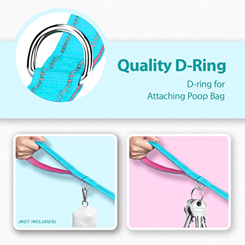 PHOEPET 5 Feet Dog Leash with Comfortable Padded Handle Easy Snap Clasp - Reflective Walking Lead for Large, Medium & Small Breed Dogs (Mint Green + Pink Base) - color: Mint Green + Pink Base
