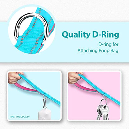 PHOEPET 5 Feet Dog Leash with Comfortable Padded Handle Easy Snap Clasp - Reflective Walking Lead for Large, Medium & Small Breed Dogs (Mint Green + Pink Base) - color: Mint Green + Pink Base