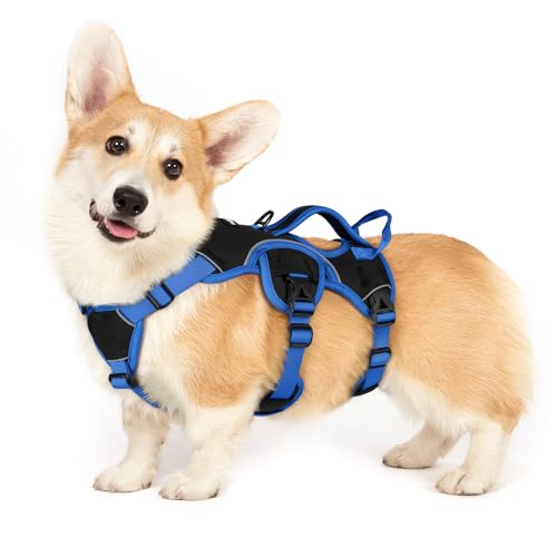 rabbitgoo Escape Proof Dog Harness Large Dogs, Soft Padded Full Body Pet Harness, Reflective Adjustable No Pull Vest with Lift Handle and Leash Clip for Walking Hiking Training, Blue & Black, S - color: Blue & Black, size: Small (Pack of 1)