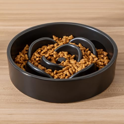 6'' Ceramic Slow Feeder Dog Bowls - Petal Shape Modern Dog Food Dish for Cats and Small Breed Dogs, Puzzle Maze Bowl to Slow Down Eating, Anti-Gulping, Dishwasher & Microwave Safe, Black - color: Black, size: 6 inch