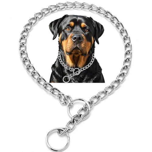 Silver Slip P Dog Chain Collars for Small Dogs, Choke Puppy Chain Metal Training Link Martingale Collars for XXS Small Medium Large Breed Dog, XS - color: Silver, size: XS(Neck Max 12inch)D2.0mm