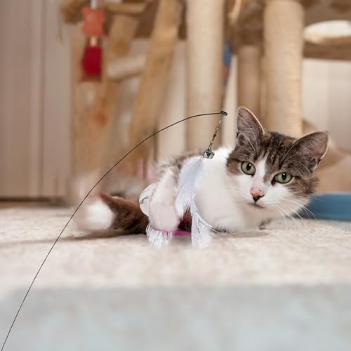 Luxshiny Interactive Cat Teaser Stick with Suction Cup Base, Wire Set with Bell, 10pcs Replacement Heads for Kitten and Indoor Cat Entertainment