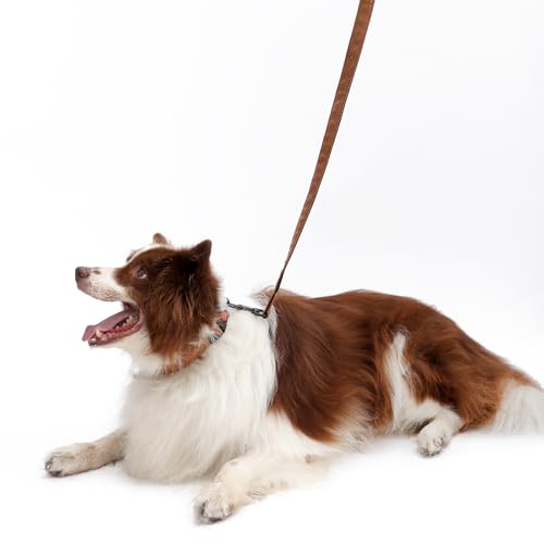 Soft Leather 4ft Dog Collar and Leash Set,Stylish 4ft PU Leather Dog Training Leash, Adjustable Durable Pet Collars with Quick Release Buckle for Large Dogs,Medium Dogs,Terracotta (terracotta, 4 feet) - color: terracotta