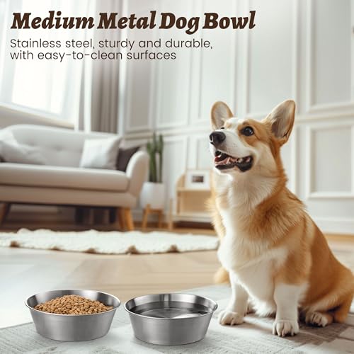 Heavy-Duty Stainless Steel Dog Bowl - Food Grade 304, Rustproof & BPA Free - Easy to Clean, Dishwasher Safe -Medium (48oz, 6 Cups) for Dogs 40-80lbs - color: Basic Bowl, size: 6 Cups