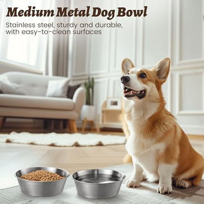Heavy-Duty Stainless Steel Dog Bowl - Food Grade 304, Rustproof & BPA Free - Easy to Clean, Dishwasher Safe -Medium (48oz, 6 Cups) for Dogs 40-80lbs - color: Basic Bowl, size: 6 Cups