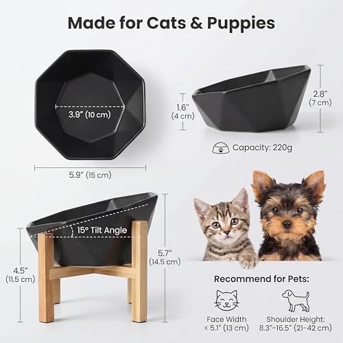 Raised Cat Bowl - Ceramic Tilted Elevated Food Bowl for Indoor Cats & Small Dogs - Shallow Wide Whisker-Friendly Design - Pet Dish Suitable for Feeding Dry, Wet, Treats & Canned Food - Black - color: Black with stand