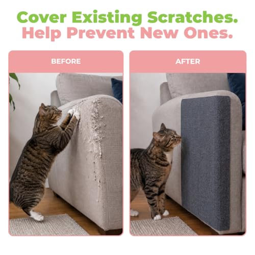 Best Pet Supplies Catify Cat Scratcher, Fun Interactive Scratchers, Posts, Poles, Claw Safe, Furniture Saver Indoor Play Support Natural Cat Behaviors Heavy Duty - Gray, 39.4 x 15.8 - color: Gray Mat - 39.4 x 15.8"