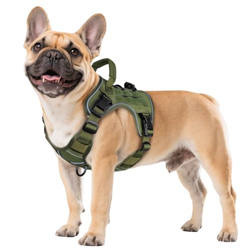 WINGOIN Green Tactical Dog Harness for Small Dogs, Heavy Duty No Pull Harness with Handle, Adjustable Reflective Military K9 Pet Vest for French Bulldog, Pug, Walking, Training, Hunting (S) - color: Green, size: S: 15-30 lbs (Chest:20-26",Neck:15-18")