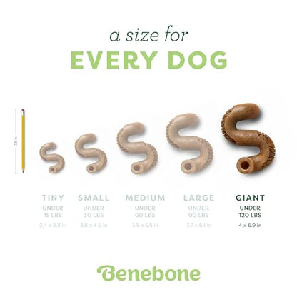 Benebone Tripe Bone Durable Dog Chew Toy for Aggressive Chewers, Real Tripe, Made in USA, Giant - size: Giant 1-Pack, style: Chew Toy