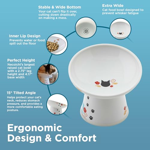 Necoichi Elevated Cat Food Bowl, Ceramic (Porcelain),15° Tilted, Whisker-Friendly, Dishwasher, Microwave Safe, Non-Slip, Anti-Vomiting, Neck Fatigue (Fuji, Extra Wide Tilted, 1.5-Cups Capacity) - color: Fuji, size: Large Extra Wide Tilted (1.5 Cups)