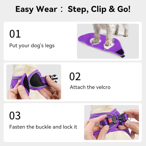 Joytale Small Dog Harness, Breathable Mesh Step-in Vest, Reflective Soft Padded Harnesses for Cats and Puppies Dogs, Purple, XXXS - color: Purple, size: XXXS--Chest: 10.5-12''