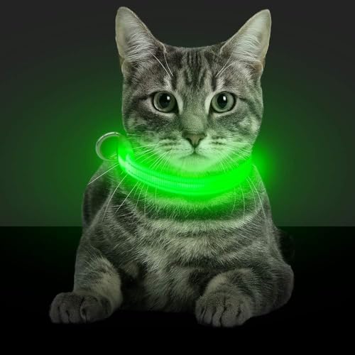 BSEEN Light Up Dog Collars - Glowing LED Dog Collar Rechargeable Puppy Collar for Small Dogs & Cats, Safety Dog Lights for Night Walking (Green) - color: Green